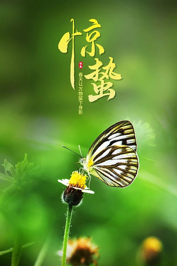 黄山太平湖生态渔业股份有限公司提醒您，今日惊蛰
